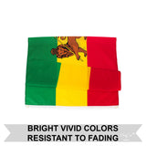 3x5FT Ethiopia Flag Lion of Judah Ethiopian Jewish Rastafari African Haile