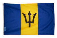 Barbados 3x5FT Polyester Flag Banner Caribbean Country Man Cave Dorm Gift Flying